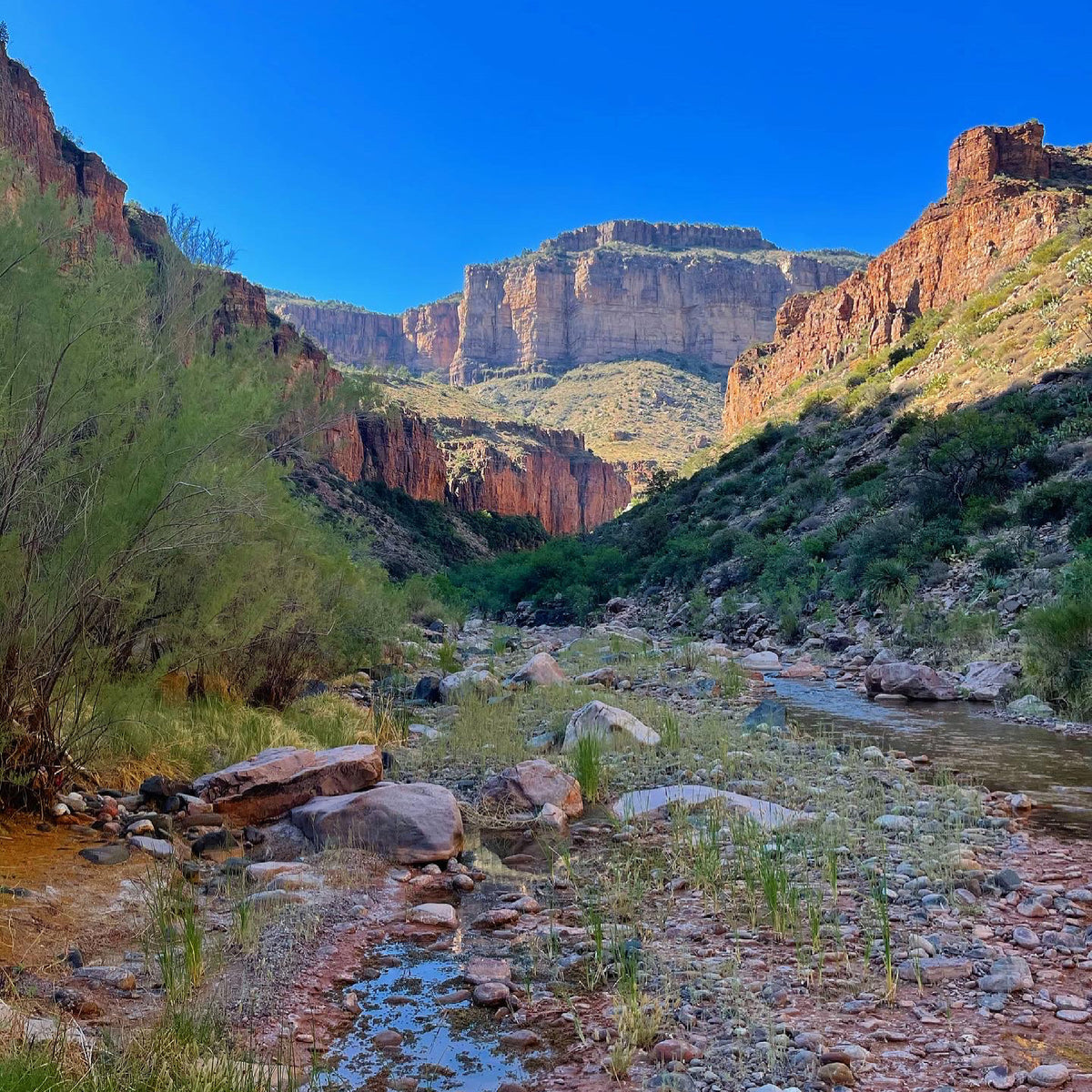 Arizona canyon landscape from the Ancient Trail image archive