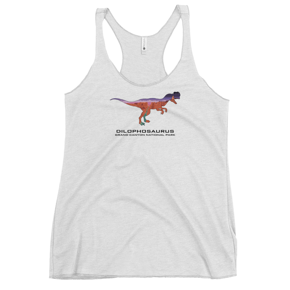 Grand Canyon National Park Zen Racerback Tank